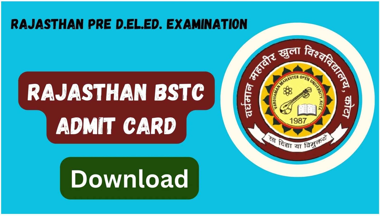 Rajasthan BSTC Admit Card 2024