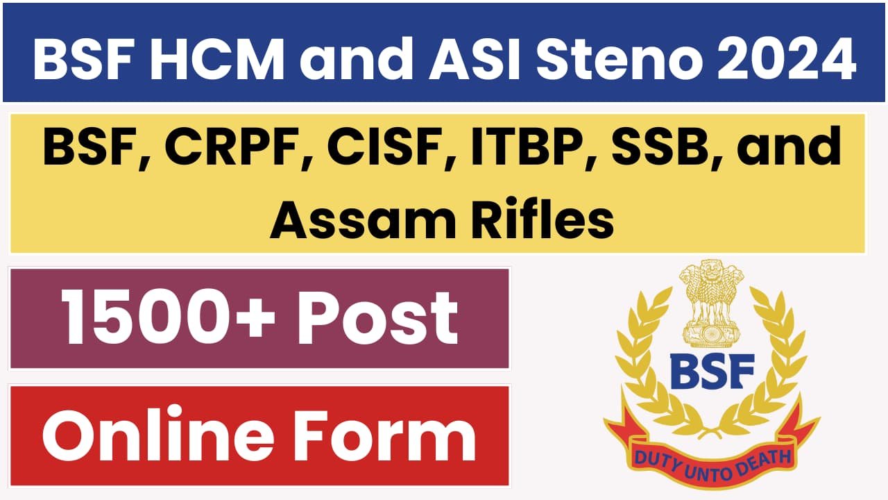 BSF HCM and ASI Steno Recruitment 2024